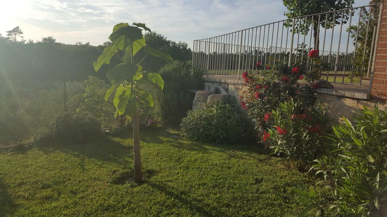 Casa La Pineta Villa Pievescola Exterior foto